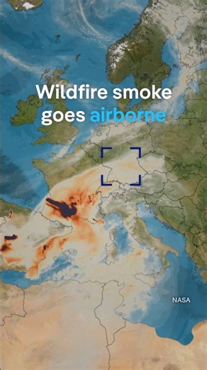 Wildfires make climate change worse | DW News