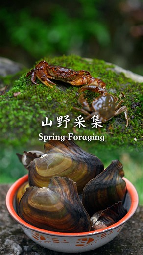 A Spring of Wild Foraging: Clams, Crabs & Bamboo Shoots 🌿
