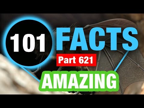 101 Fun Facts | Random Facts You Didn’t Know