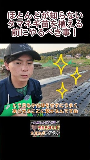 【タマネギ】失敗しないために、苗に一工夫いれよう！！