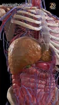 Alcohol & Fatty Liver: Know the Risks | Dr Rajesh Bathini | Manipal Hospital Vijayawada