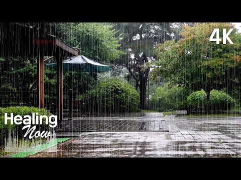 Heavy Rain in a Quiet Park - Forget Insomnia and Fall Asleep Fast, Rain Sounds for Stress Relief