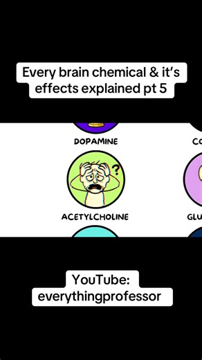 Acetylcholine #fyp #teaching | brain