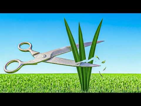 I literally cut grass