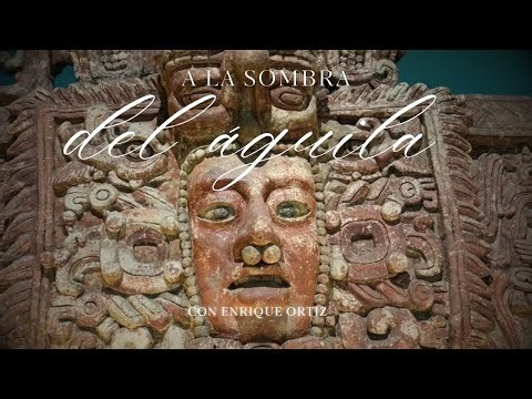 La escritura maya y su desciframiento | A la Sombra del Águila #adnnoticiasradio