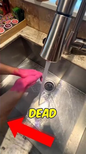 He literally DEAD for this