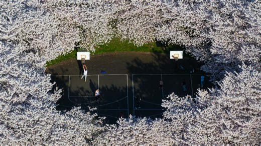 Parks Tacoma seeks voter approval on $155M bond