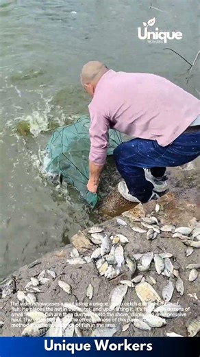 Massive Fish Catch: Using a Unique Net for Amazing Results!
