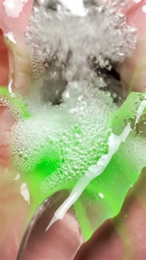 Stomach Acid vs. Giant Aloe Vera Leaf 🧪