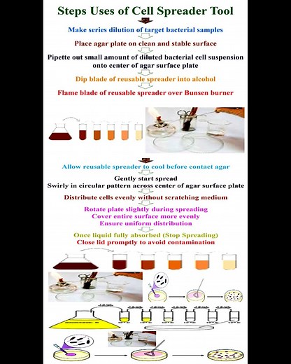 Steps of Cell Spreader Tool #geneticteacher