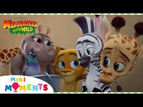 Gang Form a Band?! 🤠⭐️ | Madagascar: A Little Wild | Comp | Mini Moments