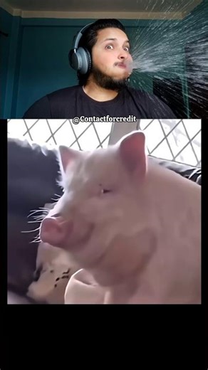 Try not to laugh challenge 295😂 #shorts #funny #trending