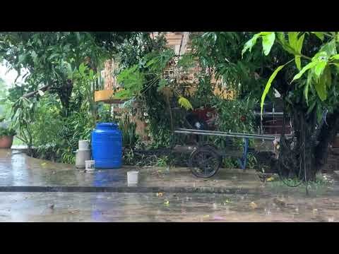 Heavy Rain Sounds in Cozy Room 🌧️ Relaxing Rain for Sleep, Study & Focus (3 Hours)