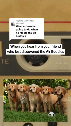 Replying to @am908028By popular demand I finally ran into these dang things and I immediately regret it, man. #airbud #airbuddies #90s #parody #movieparody