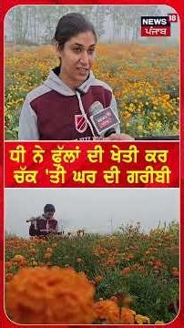 ਧੀ ਨੇ ਫੁੱਲਾਂ ਦੀ ਖੇਤੀ ਕਰ ਚੱਕ 'ਤੀ ਘਰ ਦੀ ਗਰੀਬੀ #shorts |N18S