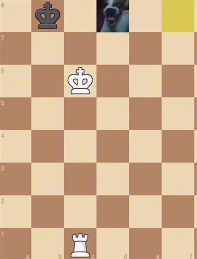 Master Chess Strategies for Beginners and Experts