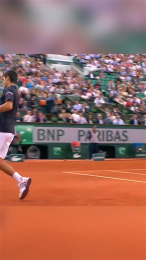 Djokovic made it look easy 🤯
