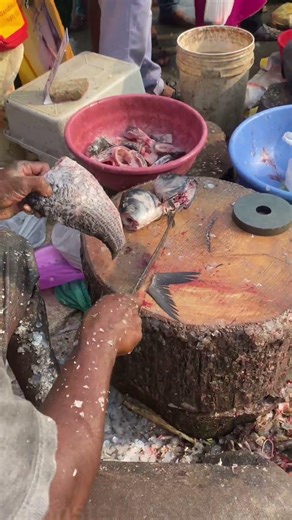 Bighead Carp fish cutting skills. #fish #shorts