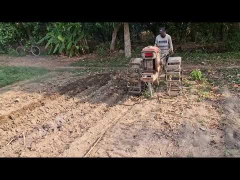 FARMER'S TECHNIQUE! MAKING FARMLAND READY FOR A MORE PRODUCTIVE HARVEST! - Agricultural Farming