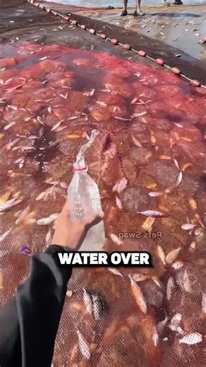 This Fish Got A New Life! 🐟❤️🌊