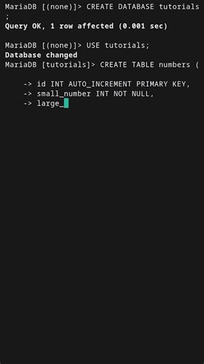 INT vs BIGINT in MySQL #mysql #mariadb #sql #databases #coding #programming