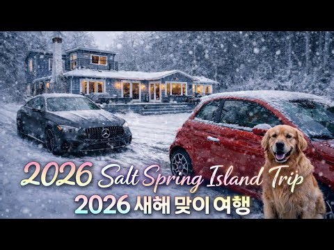 [4K VLOG]🥳새해를 섬에서 맞으면 생기는 일.....