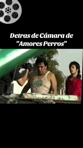 Amores perros es una aclamada película mexicana del año 2000 que marcó el debut como director del oscarizado Alejandro González Iñárritu. Escrita por Guillermo Arriaga, es la primera entrega de la célebre