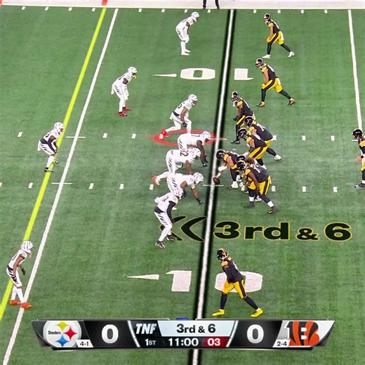 Dallas Goedert highlights vs Pittsburgh Steelers and Cincinnati Bengals