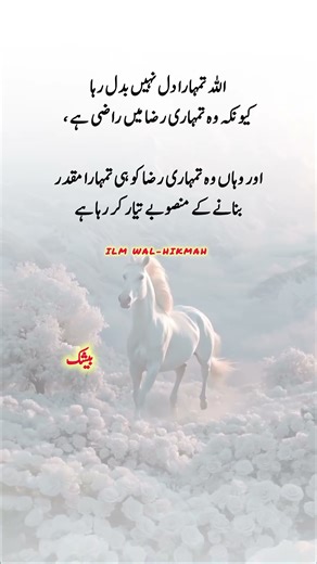 Beautiful Words #islamicvideo #islamicshorts #islamicreminder #muslimcontent #shortsfeed #shorts