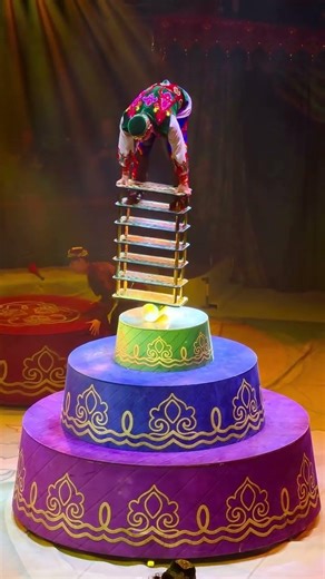 World’s Most Magical Circus Show #MirageCircus #BudapestCircus #CircusShow #ViralVideo #subscribe 👍