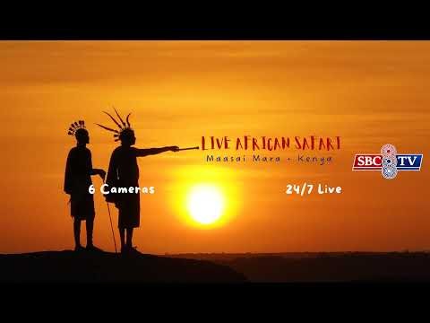 🔴 LIVE African Safari | 6 Maasai Mara Wildlife Cameras | Kenya 24/7