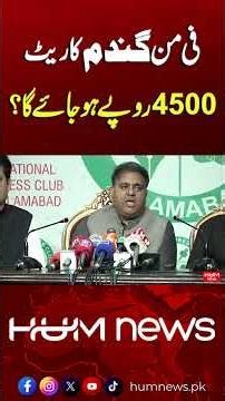 Will Wheat Price Reach Rs4500? | Fawad Chaudhry | Hum News | Pakistan