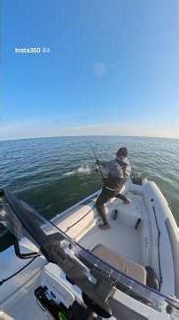 Bluefin Tuna - Solo mission😍