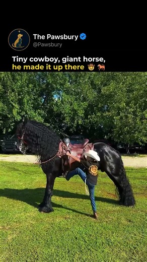 Tiny Cowboy Rides Giant Friesian 🤠 #horse #shorts