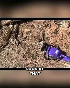 INSANE Tree Fall! Watch it EXPLODE on Impact! #shorts