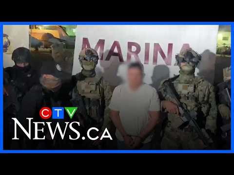 Drug kingpin 'El Jardinero' transferred to Mexico City after arrest