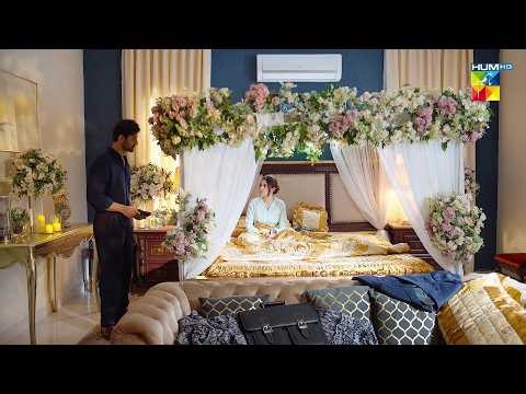 Mein Tumhe Apne Kamre Mein Nahi Rakh Sakta...! - Aye Dil Aazma Nahin - HUMTV