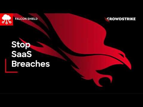 See Falcon Shield in Action