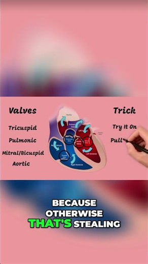 Heart Valves Mnemonic- Easy Memory Trick
