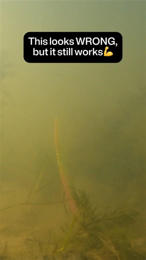 Weird Swing 🤔 Tungsten Football Swing Underwater 🎣