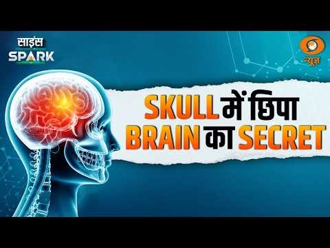 Skull के अंदर मिला Brain का Security Hub | Science Spark