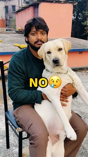 Pogo Ab Nahi Rhega😢😢 #vlog #minivlog #shorts #dog