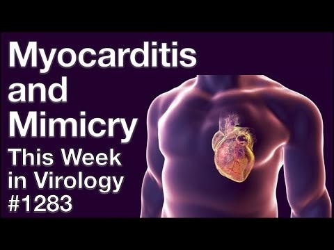 TWiV 1283: Myocarditis and mimicry