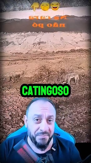 BioCortes | Biologia on Instagram: "CHACAL PEGOU UM GAMBÁ #biologohenrique #biologia #curiosidades #natureza #animais"