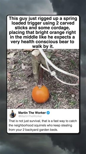 OLD SCHOOL SURVIVAL TRAP SNAPS IN ONE SECOND