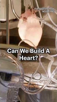 Can we build a heart? #stemcells #organtransplant