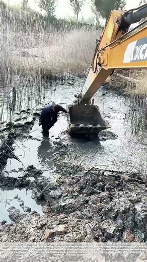 Scooping the Catch: How a Worker Gathers Fish into an Excavator Bucket