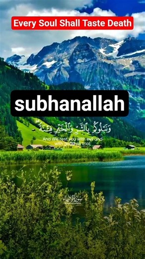 Relaxing Quran Tilawat With Beautiful Scenery 🌿 #allah #quran #tilawat