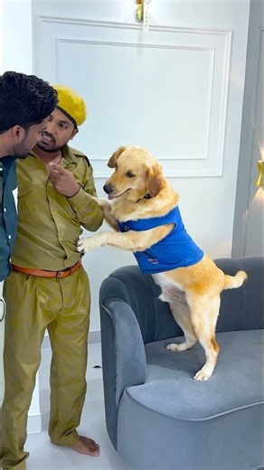 आज मुझे डॉग ने कैसे बचाया था😱 #funnydogs #shorts