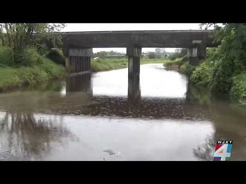 McCoy’s Creek restoration appears to help limit flooding during Jacksonville rains